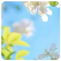 挂机巡航脚本 适用于gom系列  高手请自转