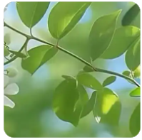 1.05T版本分享 